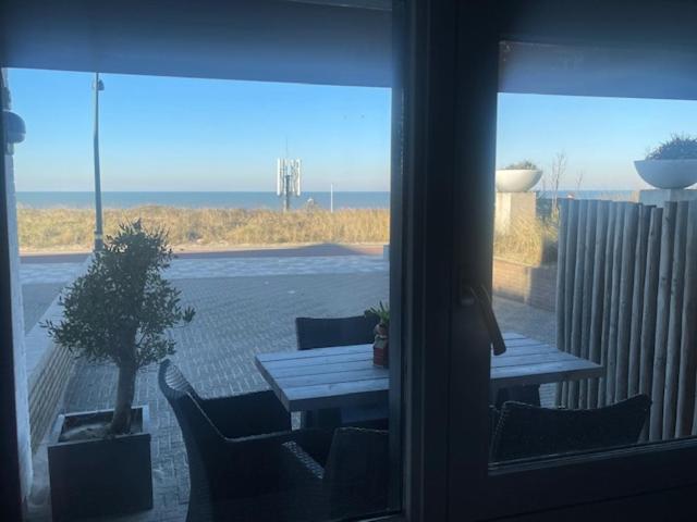 B&B Zeespiegel Zandvoort Εξωτερικό φωτογραφία
