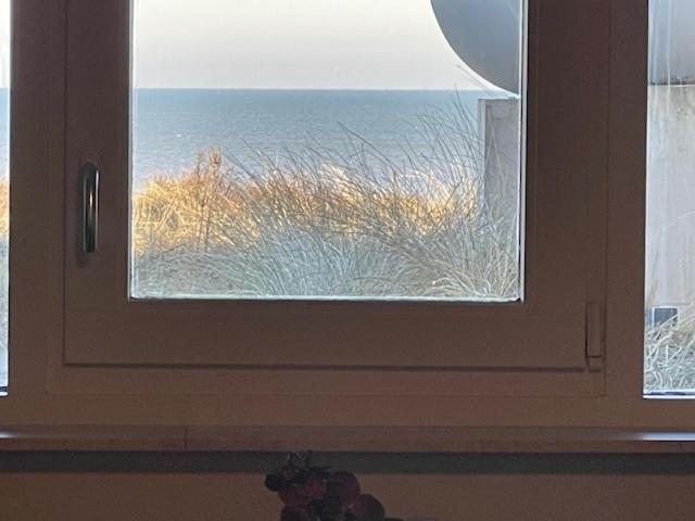 B&B Zeespiegel Zandvoort Εξωτερικό φωτογραφία