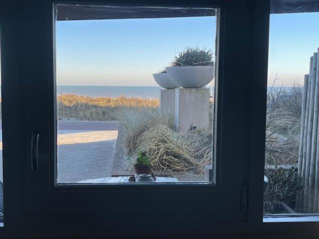 B&B Zeespiegel Zandvoort Εξωτερικό φωτογραφία
