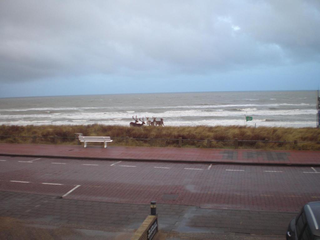 B&B Zeespiegel Zandvoort Δωμάτιο φωτογραφία